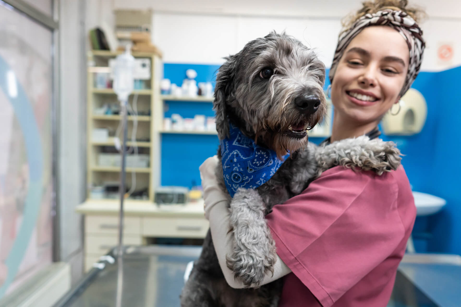 Person holding dog